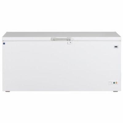 Bahut de congélation blanc couvercle plein température -24°C et capacité 600 L Bahut de congélation blanc couvercle plein température -24°C et capacité 600 L