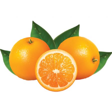 Presse oranges automatique  compact