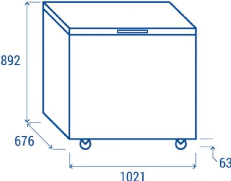 Conglateur coffre pour professionnel -15C  -25C - 302 L