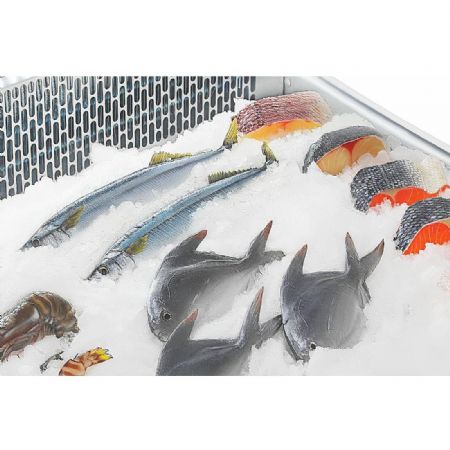 Vitrine rfrigre de comptoir  poisson 175L - 915x890x530 mm