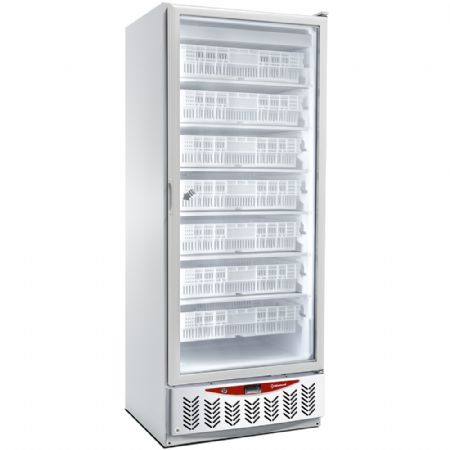 Conglateur statique pro GN 2/1 et 600x400 avec 1 porte vitre 525 litres - 750x740x1900 mm