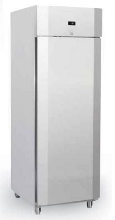 Armoire rfrigre ventile ngative -22C -18C 1 porte 450 L inox - 680x730x2045 mm