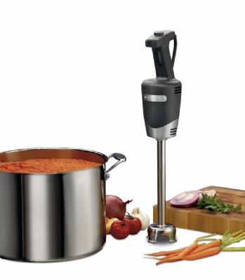 Mixer plongeant noir dbit moyen avec 2 vitesses - longueur 255 mm